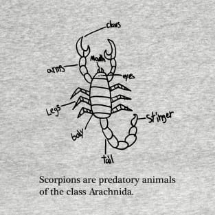 Scorpion T-Shirt